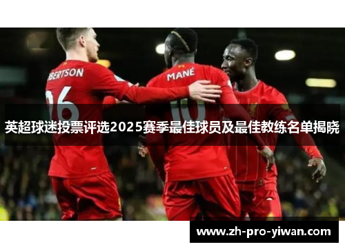 英超球迷投票评选2025赛季最佳球员及最佳教练名单揭晓 英超球迷投票评选2025赛季最佳球员及最佳教练名单揭晓