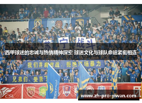 西甲球迷的忠诚与热情精神探索 球迷文化与球队命运紧密相连