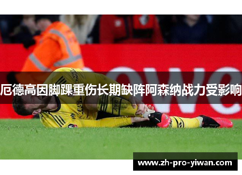 厄德高因脚踝重伤长期缺阵阿森纳战力受影响 厄德高因脚踝重伤长期缺阵阿森纳战力受影响